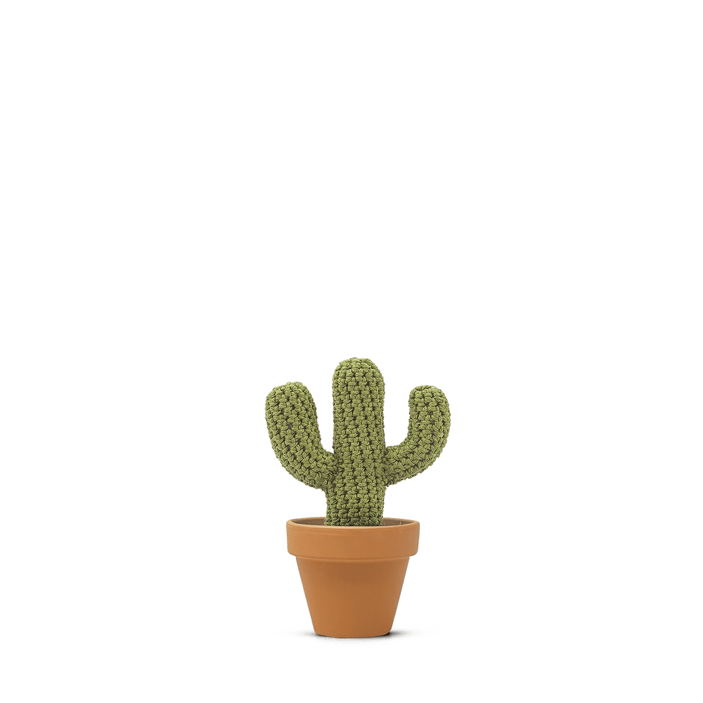 Carnegiea gigantea (M)
