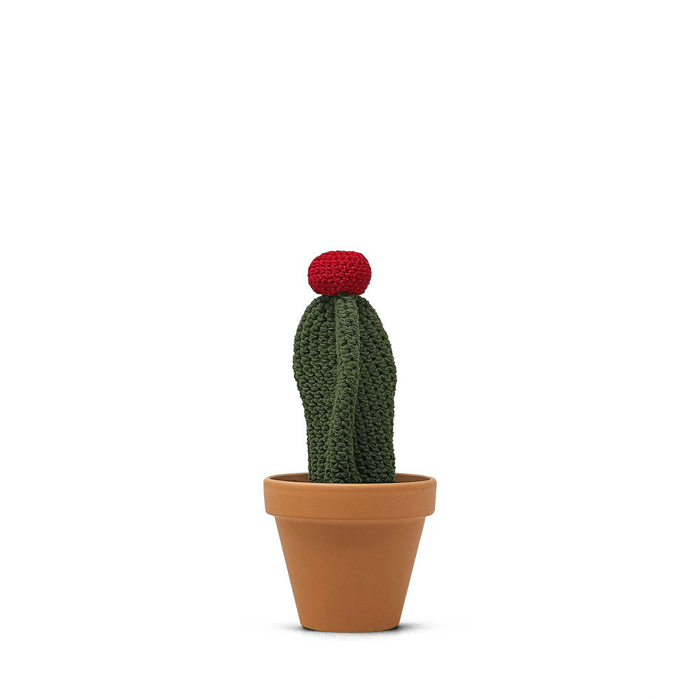 Gymnocalycium mihanovichii (L)