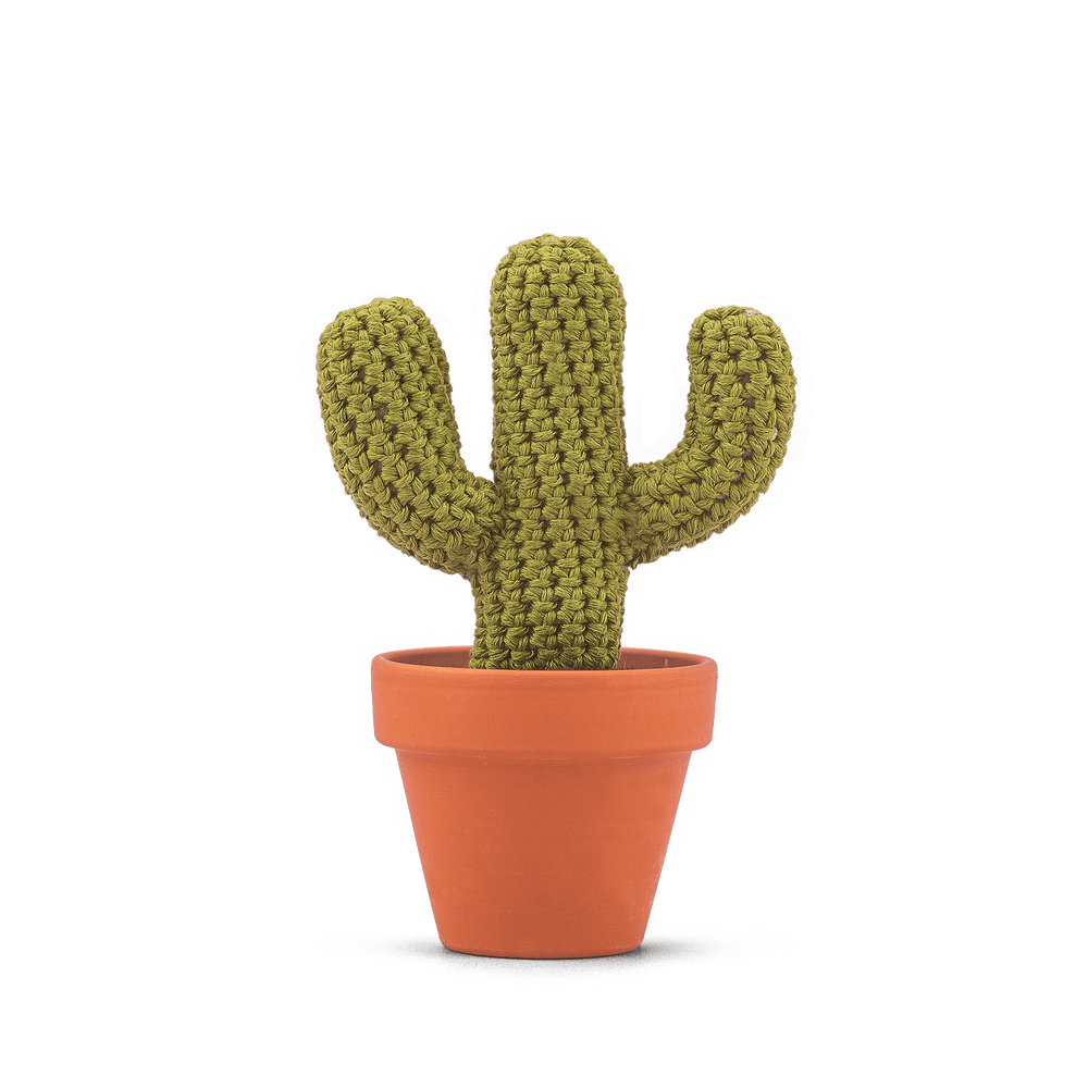 Carnegiea gigantea (L)