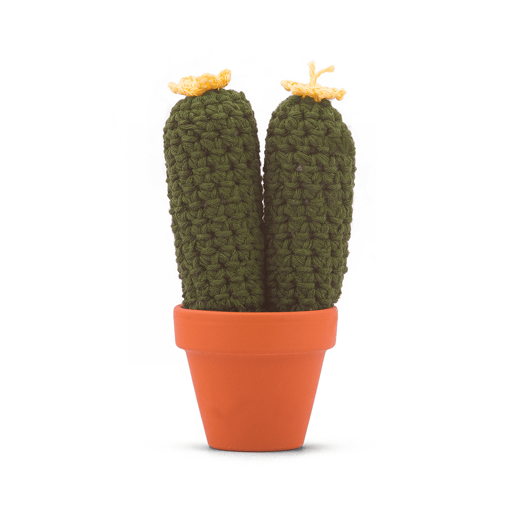Pilosocereus Glaucescens (L)