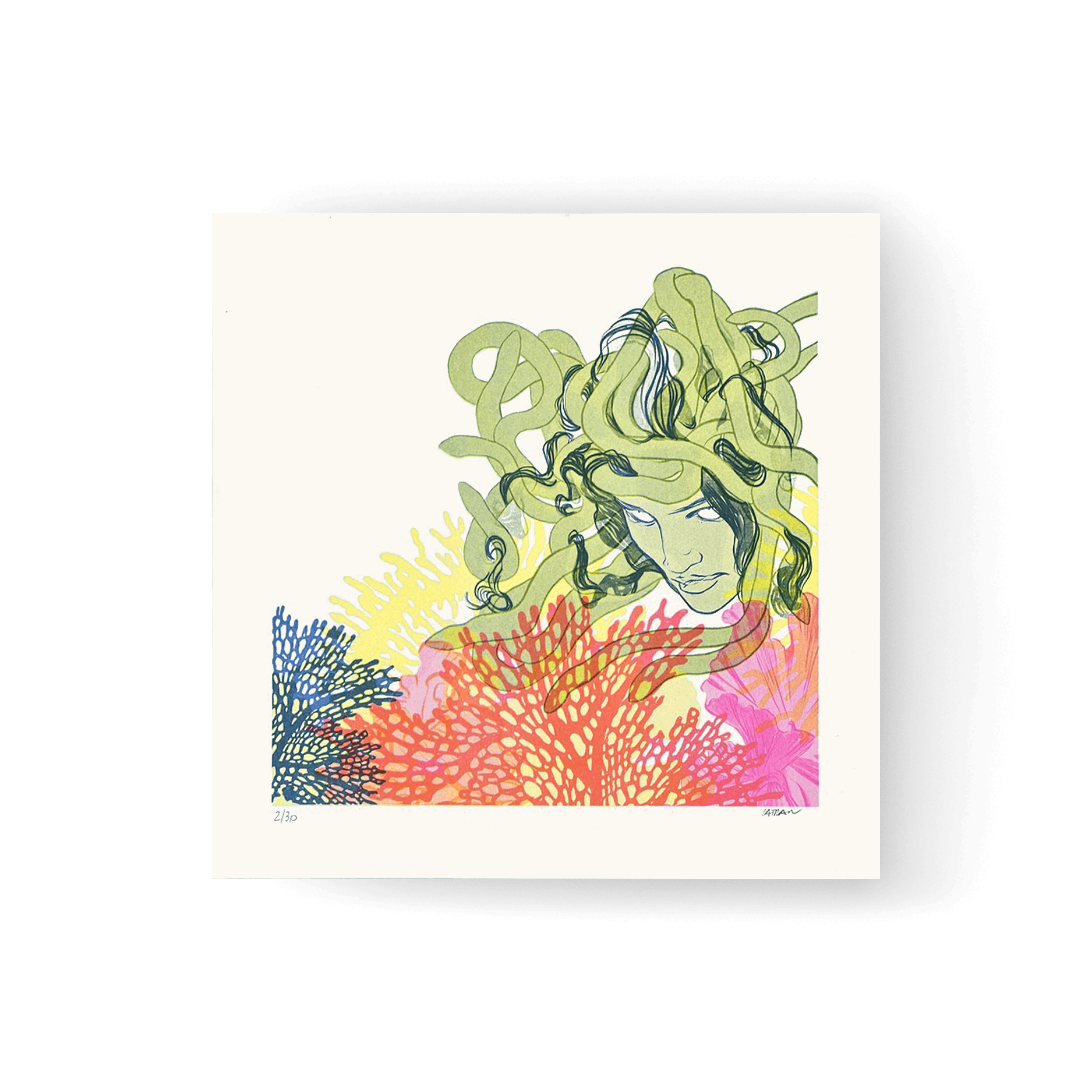 Blooming - Medusa