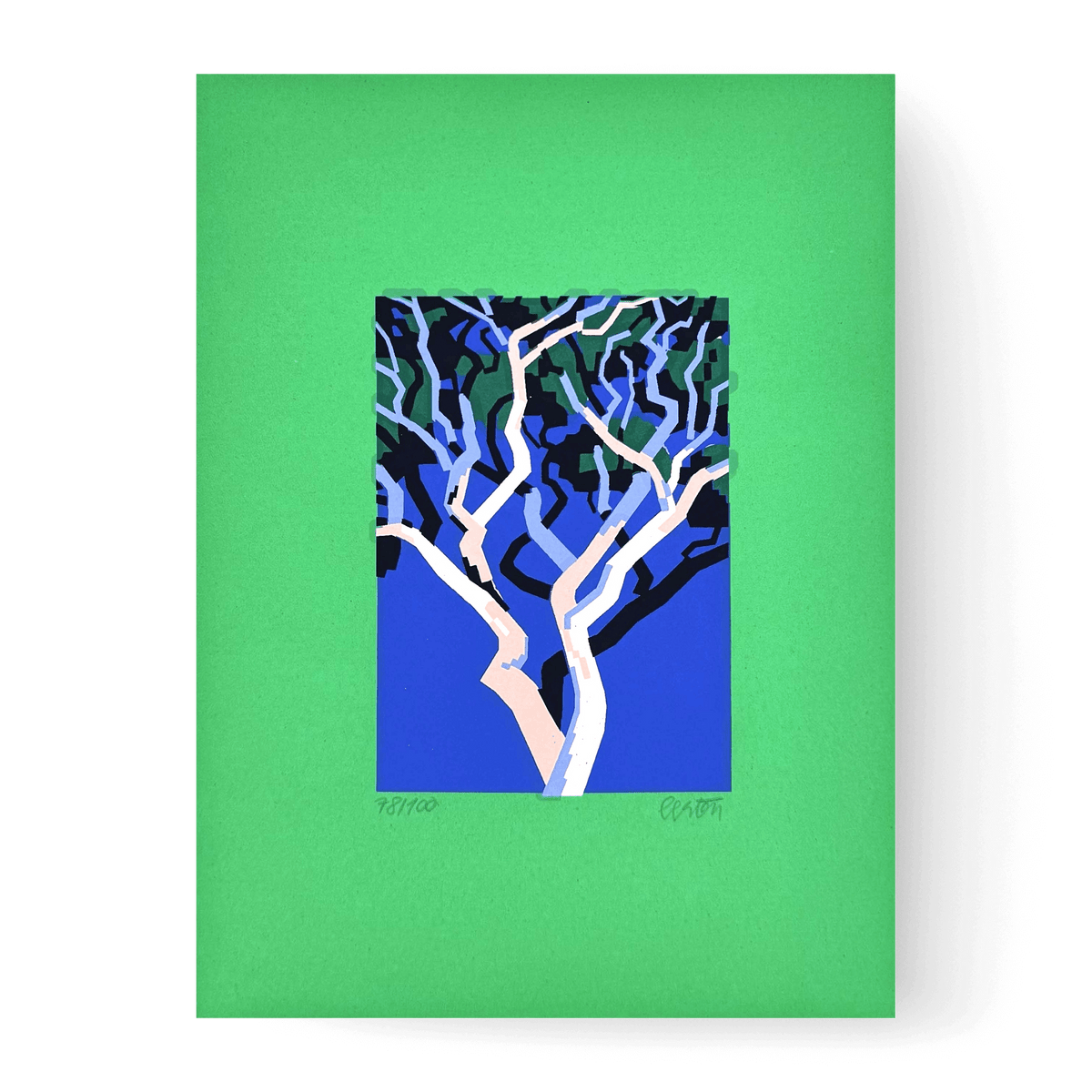 Pini #34 - Rami - serigrafia di Matteo Berton