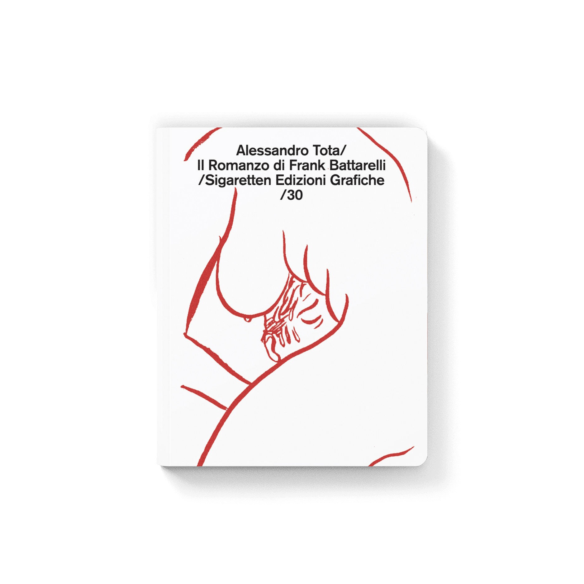 Il romanzo di Frank Battarelli