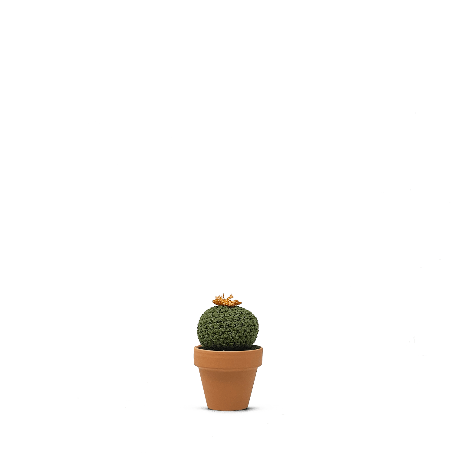 Echinocactus concinnus (S)