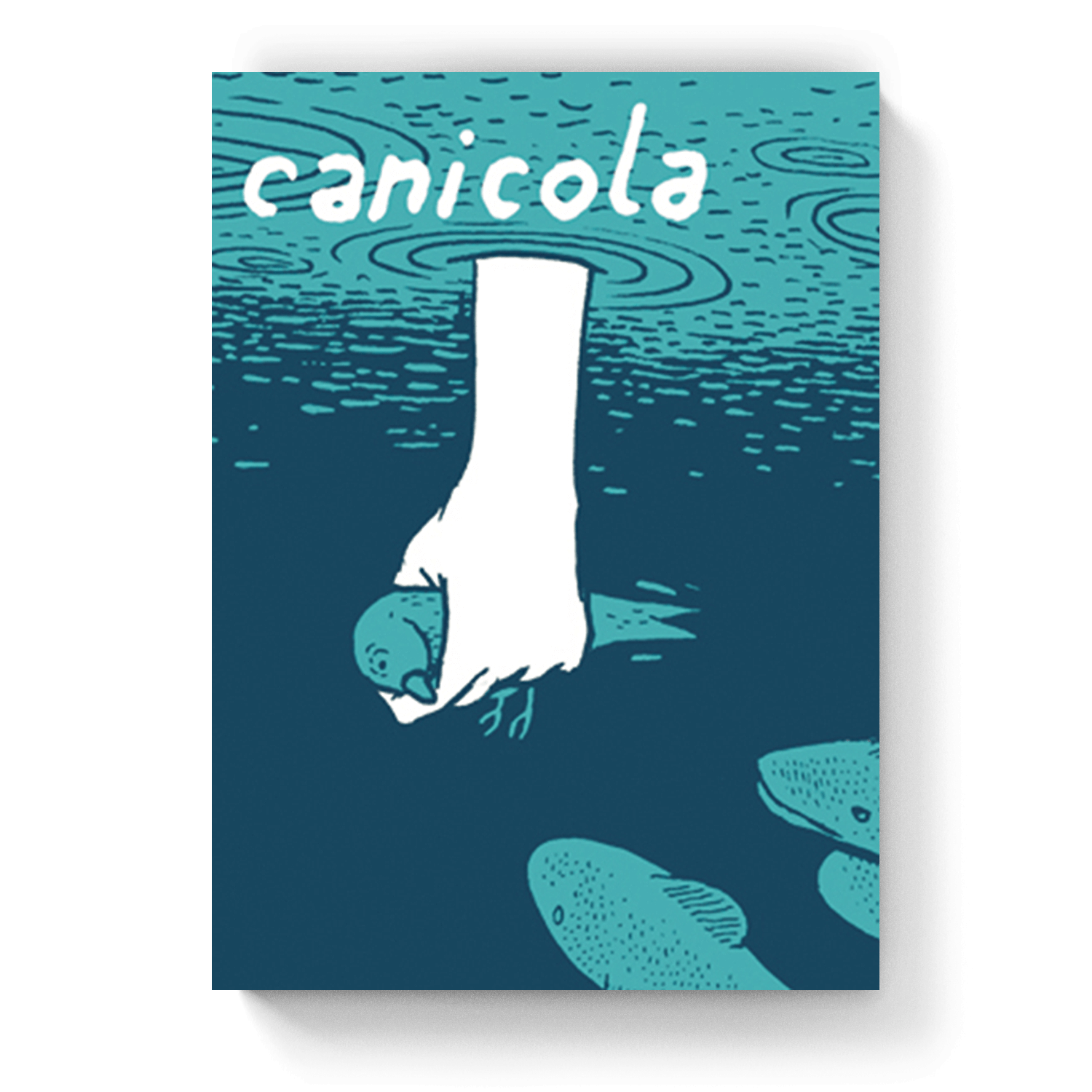 Canicola 04